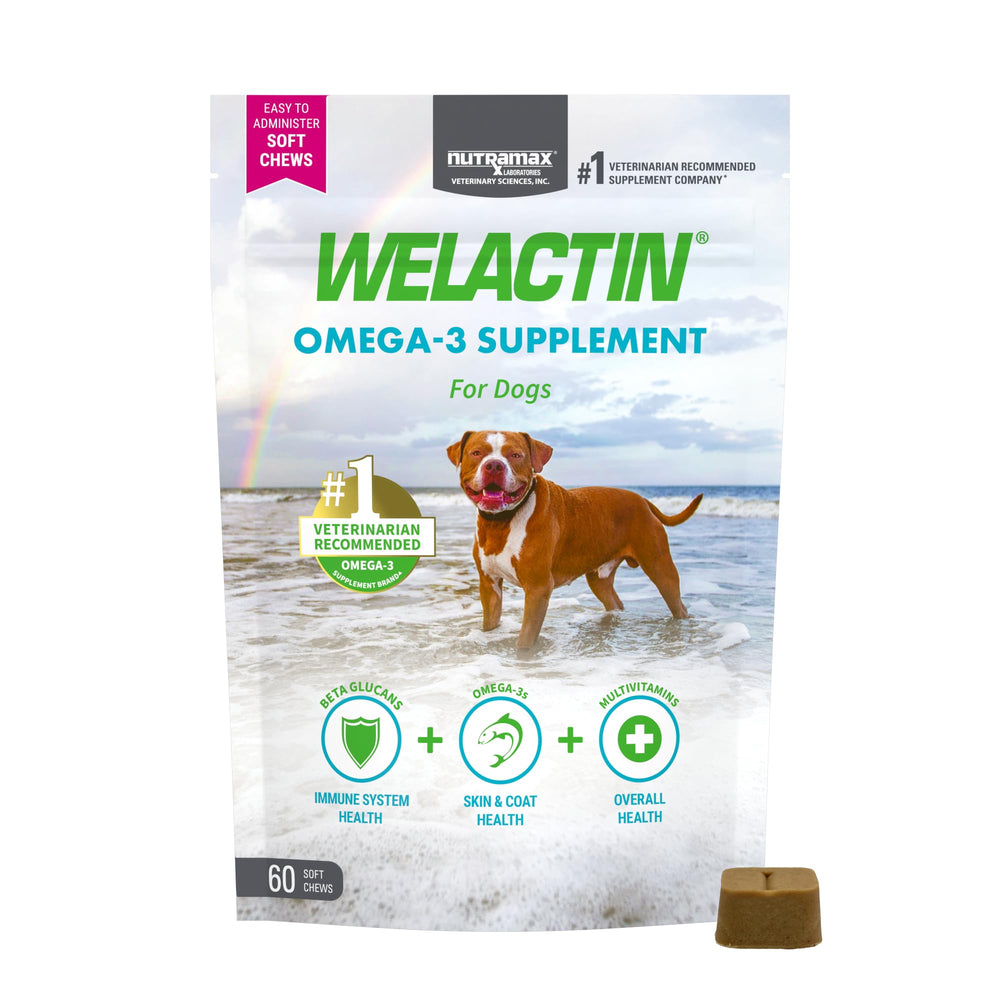 Welactin de Nutramax, botella de aceite de pescado para perros, mejora la piel y el pelaje.