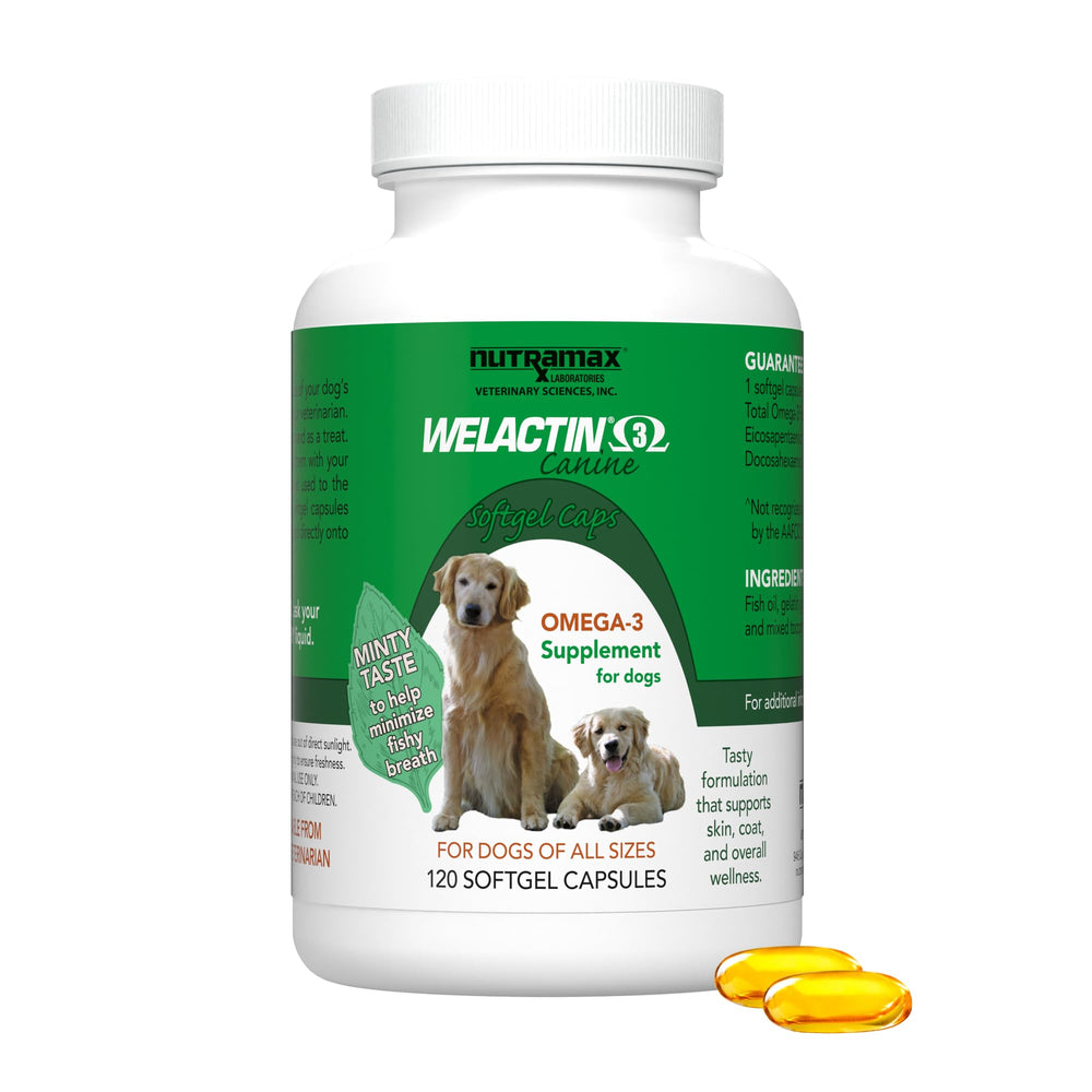 Nutramax Welactin para perros muestra piel y pelaje más saludable.