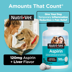 Perro activo gracias a Nutri-Vet Aspirina: movilidad mejorada y confort