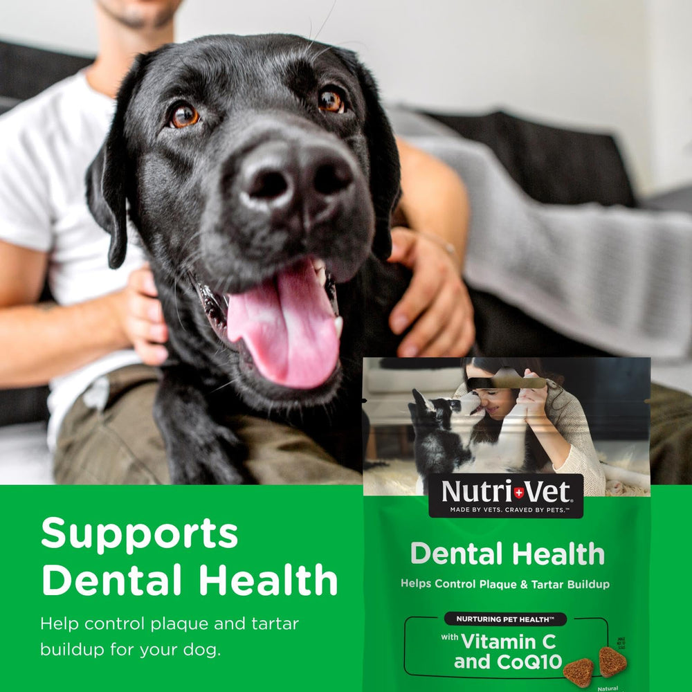 Nutri-Vet dientes sanos y encías saludables