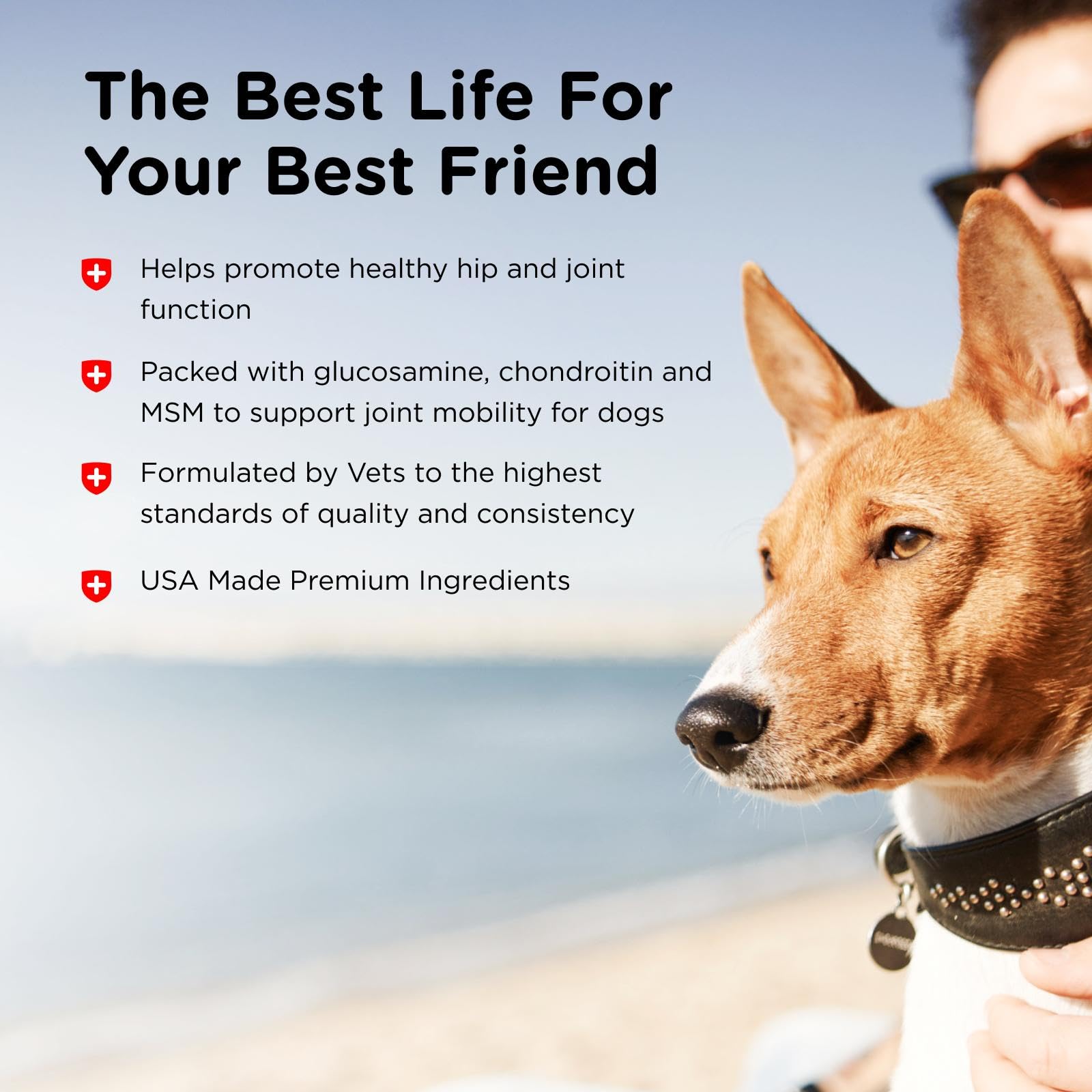 Nutri-Vet Advanced Strength Hip & Joint: etiqueta resalta glucosamina, condroitina y MSM para soporte articular.
