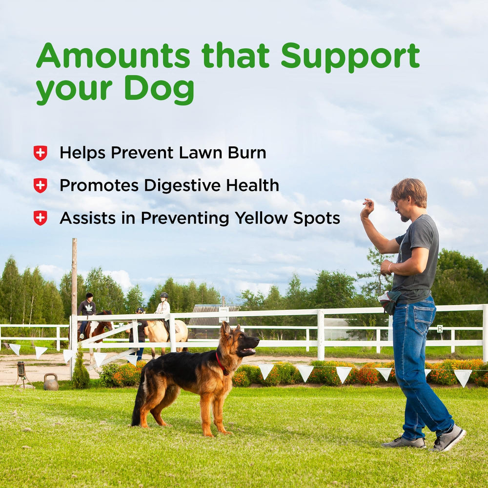 Nutri-Vet Grass Guard protección del césped y bienestar canino.