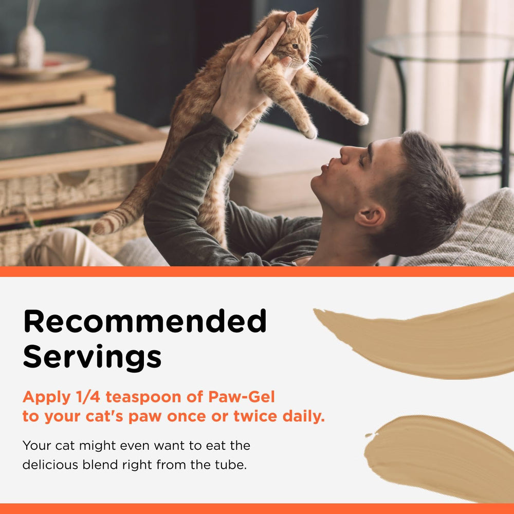 Envase de 3 onzas Nutri-Vet Hairball Paw Gel para uso continuo