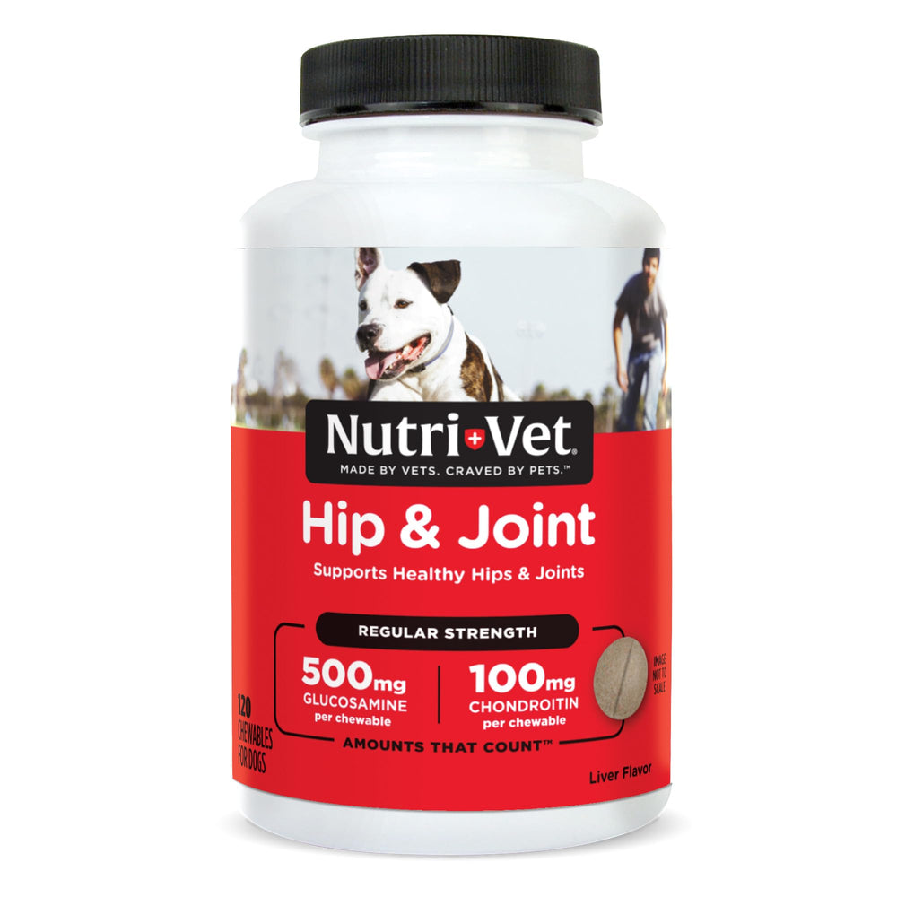 Nutri-Vet Hip & Joint en botella, soporte diario para la movilidad de perros activos.