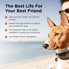 Nutri-Vet ingredientes glucosamina ester-C: contiene glucosamina y Ester-C para cuidado articular.