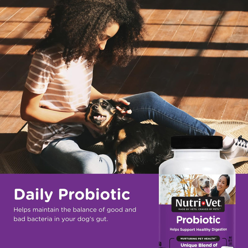 Nutri-Vet Probiotics en bote con cápsulas favorece la digestión diaria del perro.