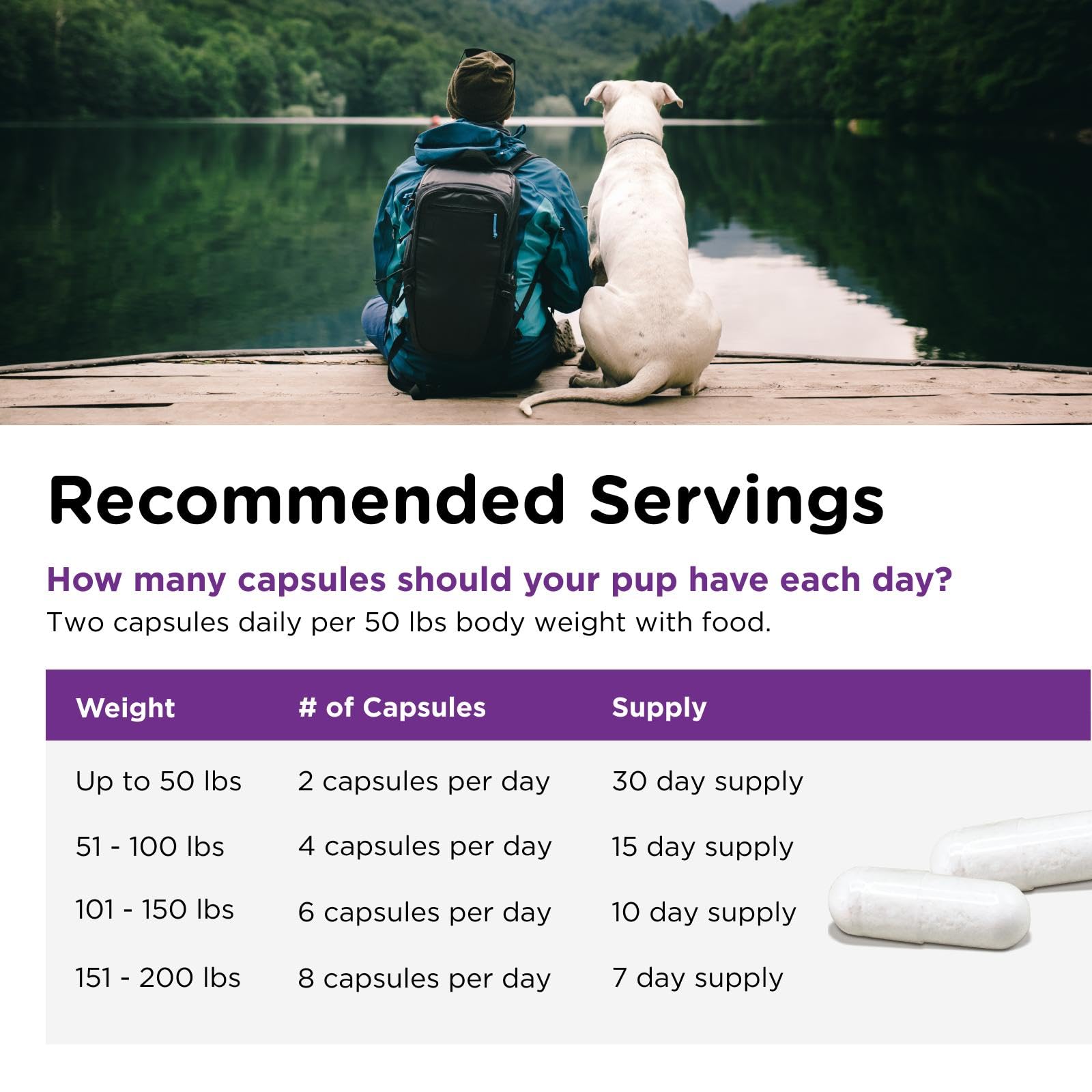 Nutri-Vet Probiotics y prebiotico: mezcla para el intestino.