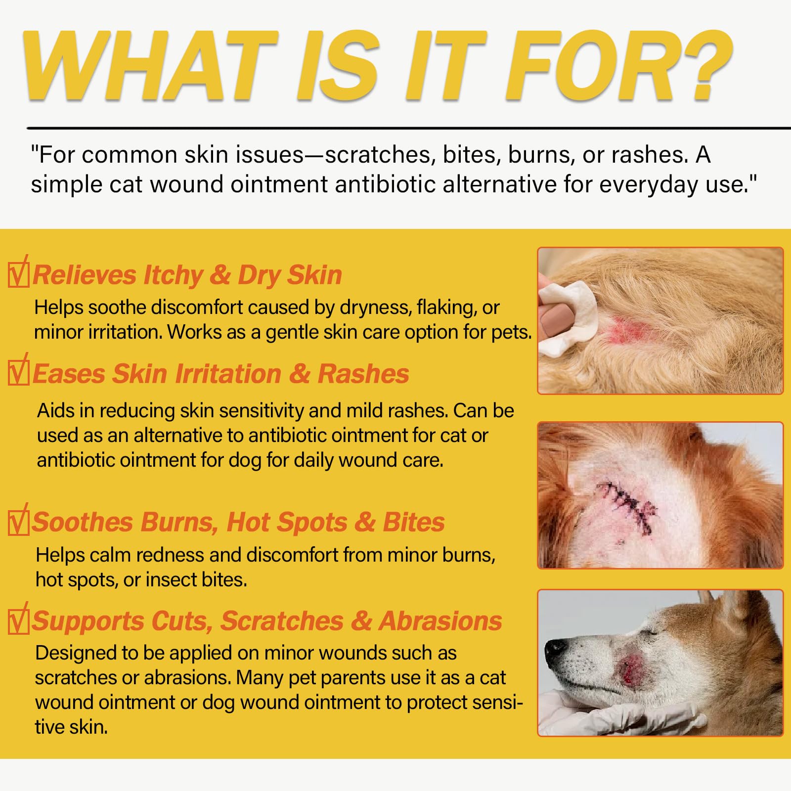 Nutriarise: aplicación fácil para perros y gatos.
