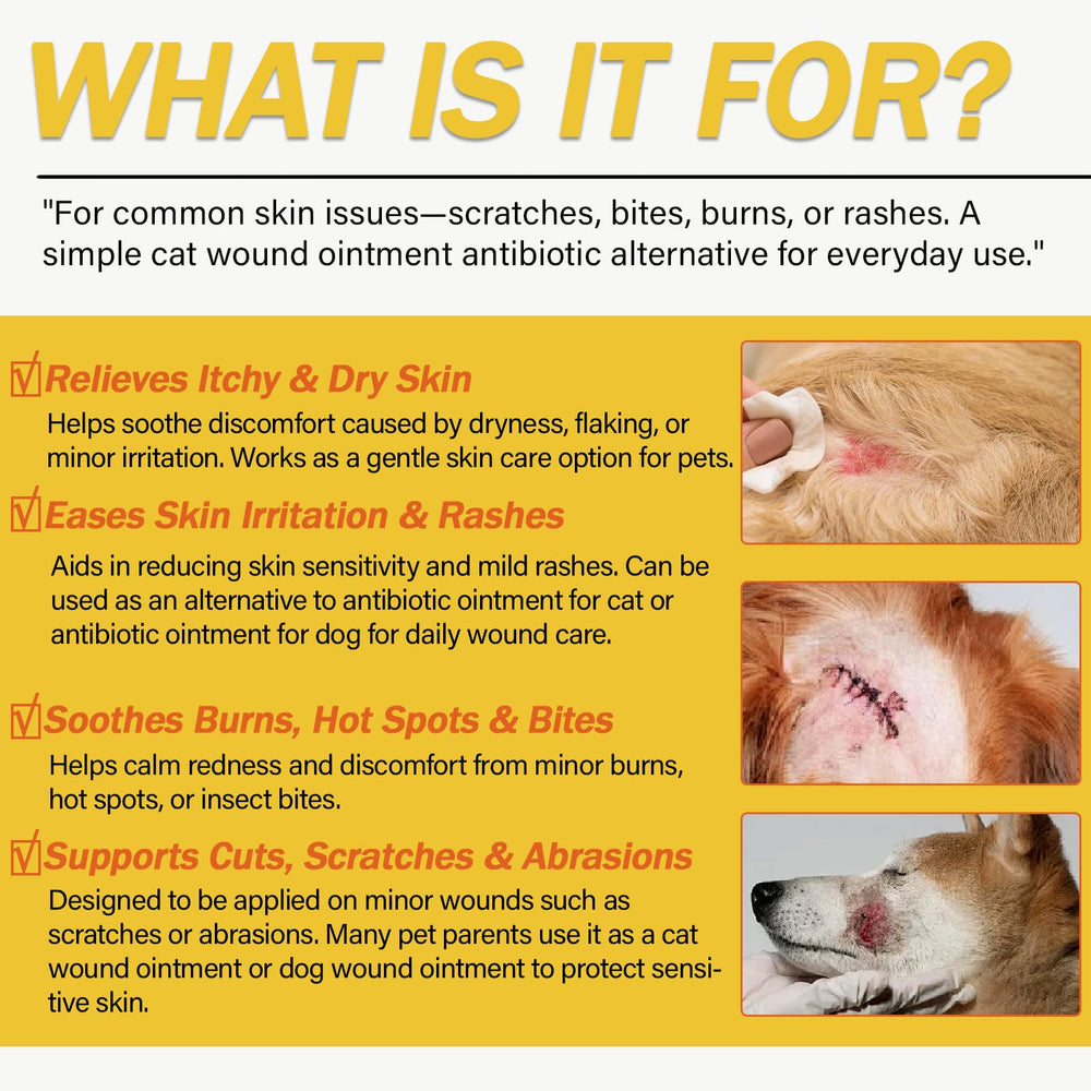 Nutriarise: aplicación fácil para perros y gatos.