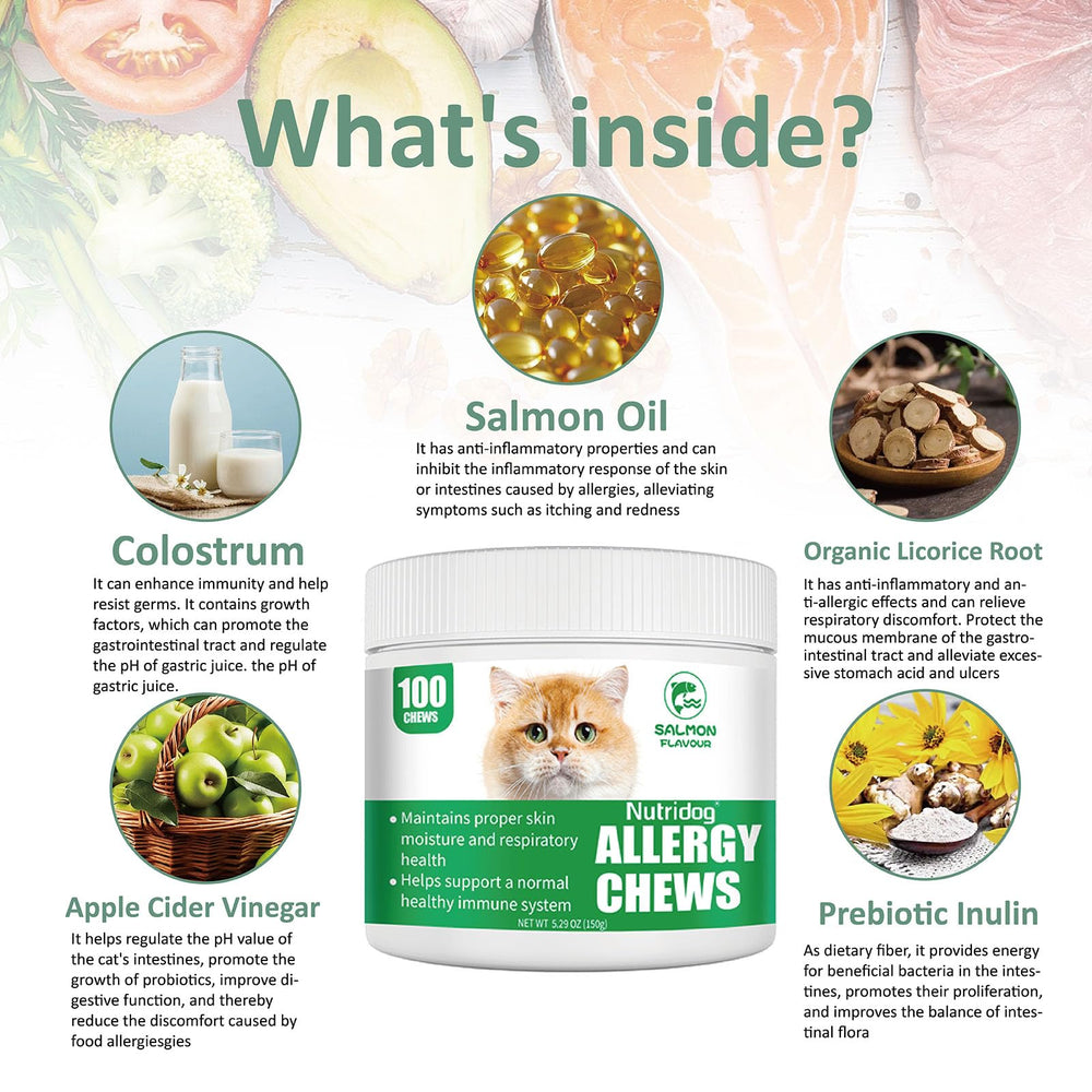 NutriDog Cat Allergy Relief Chews envase trasero con beneficios de piel e inmunidad