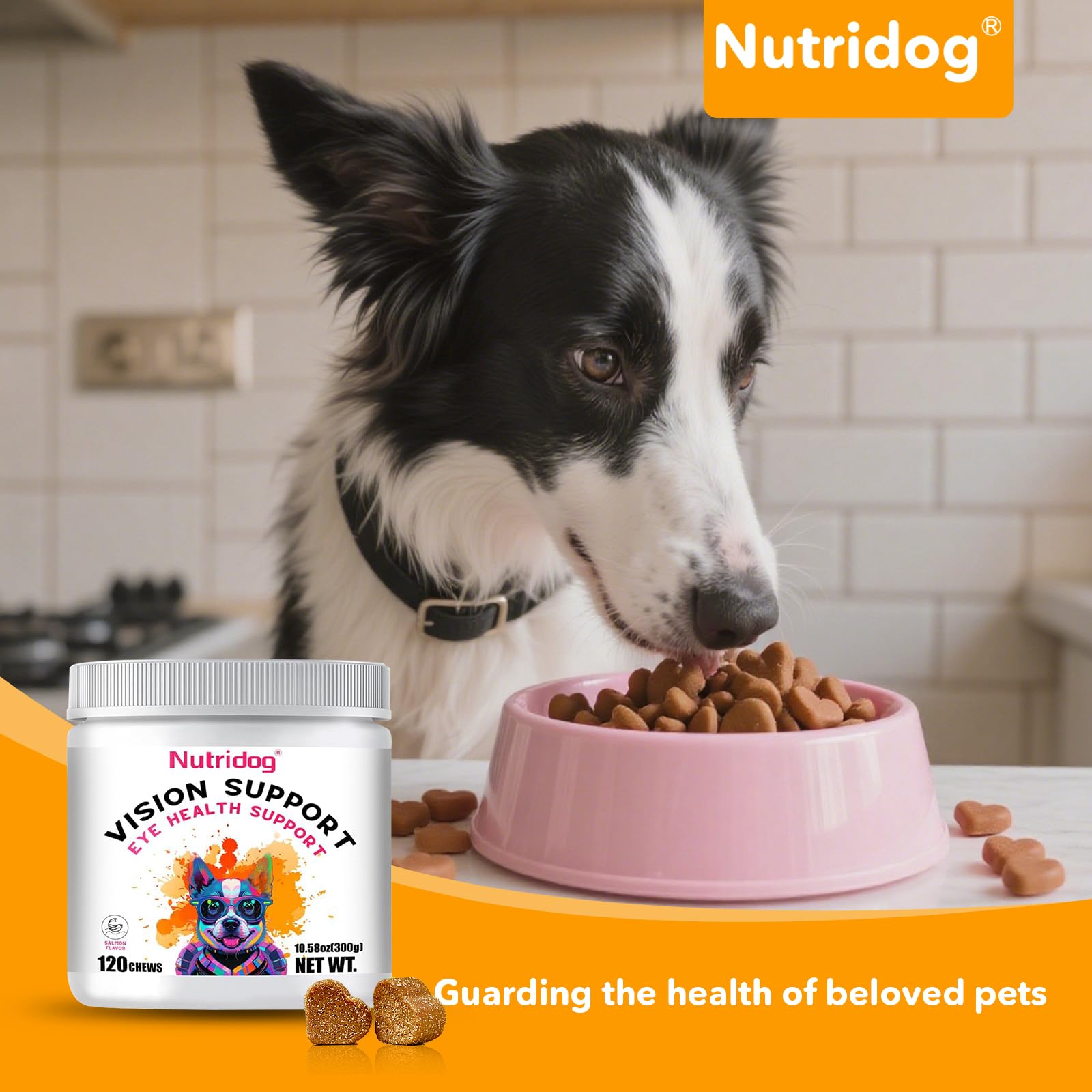 Nutridog formulado veterinario: opción para perros mayores.