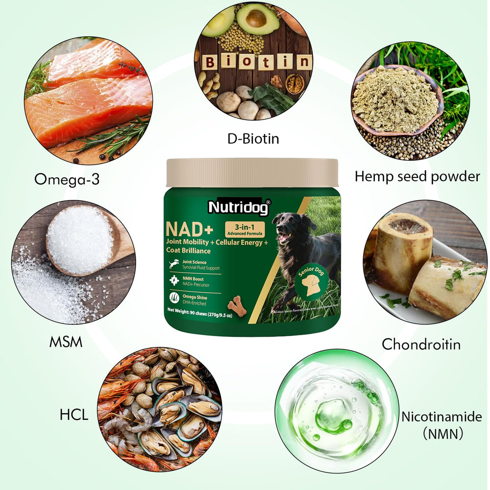 NutriDog NMN con resveratrol y CoQ10, ingredientes clave