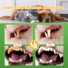Nutridog polvo dental se mezcla en comida húmeda para conveniencia diaria