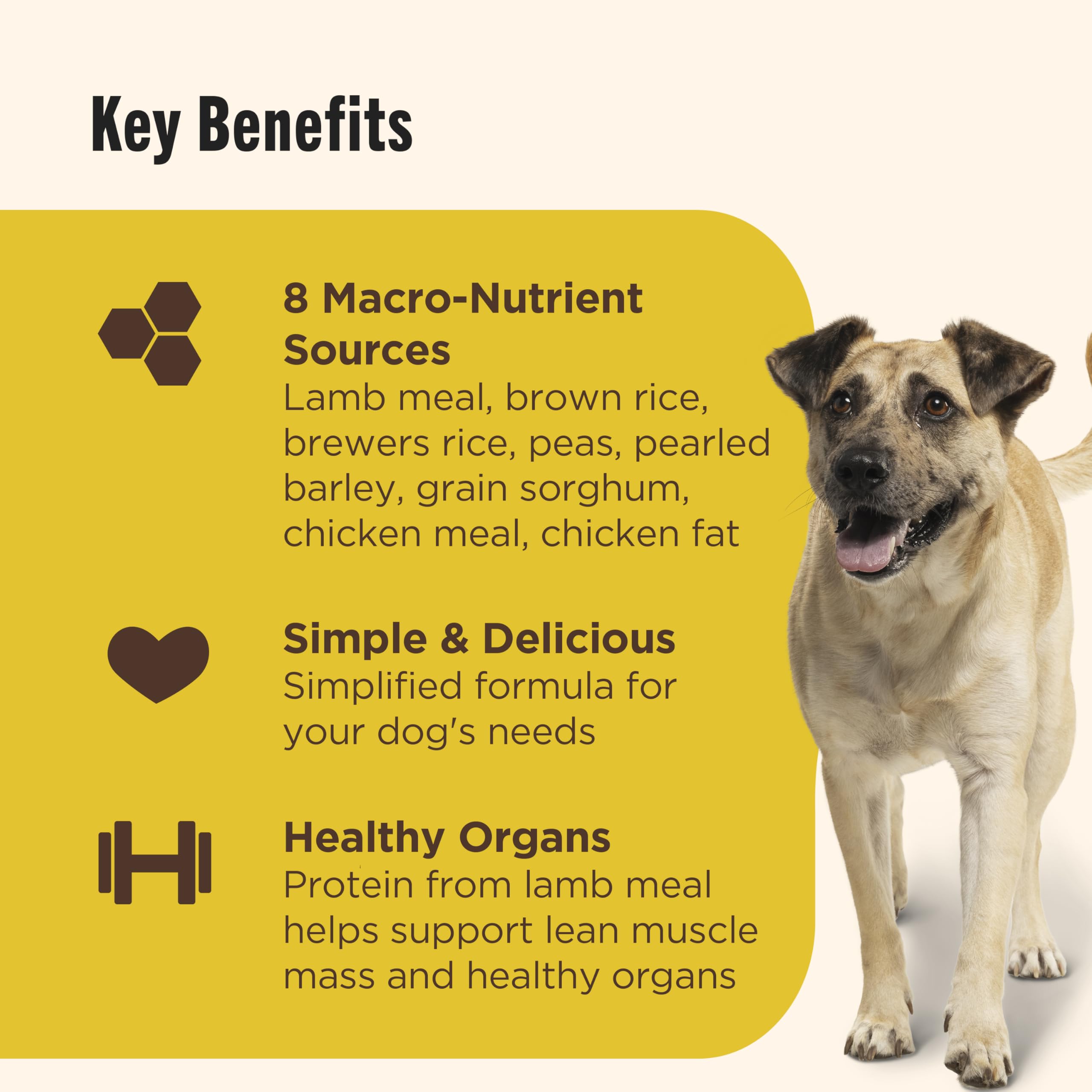 Nutrish ingredientes limitados con cordero y arroz para perros adultos.