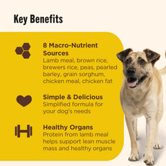 Nutrish ingredientes limitados con cordero y arroz para perros adultos.