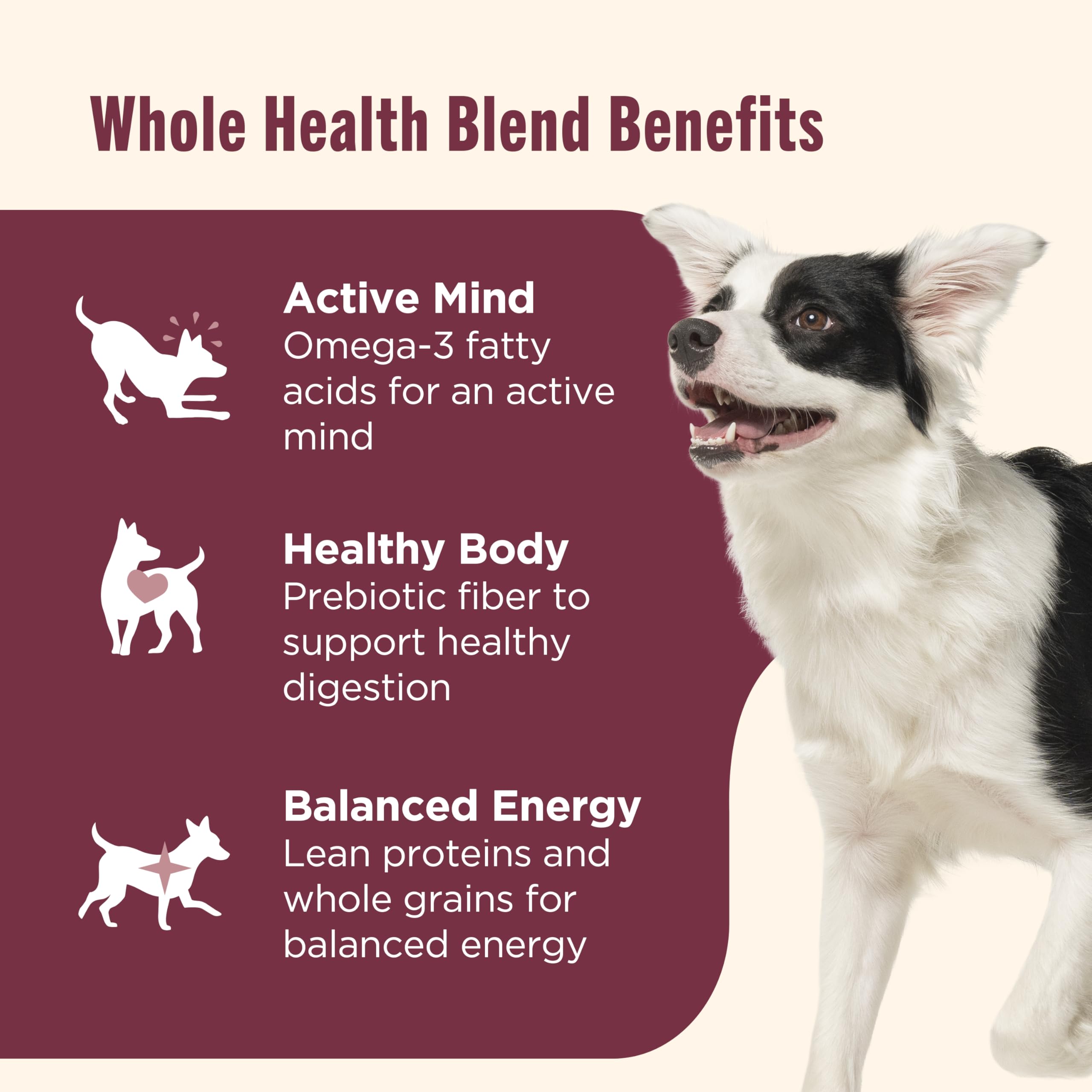 Rachael Ray Nutrish bolsa de 5,5 libras en la imagen; conveniencia para perros activos.