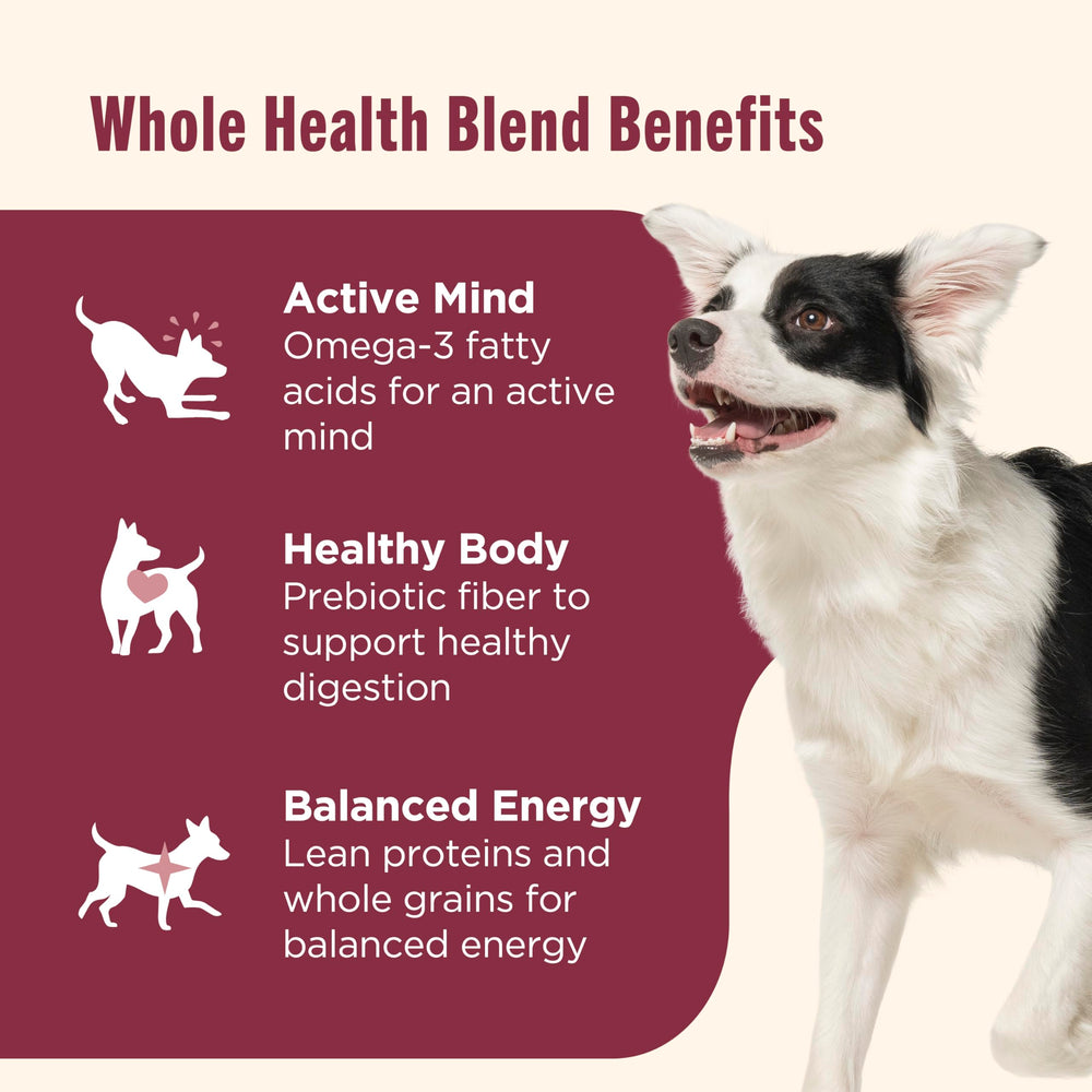Rachael Ray Nutrish bolsa de 5,5 libras en la imagen; conveniencia para perros activos.