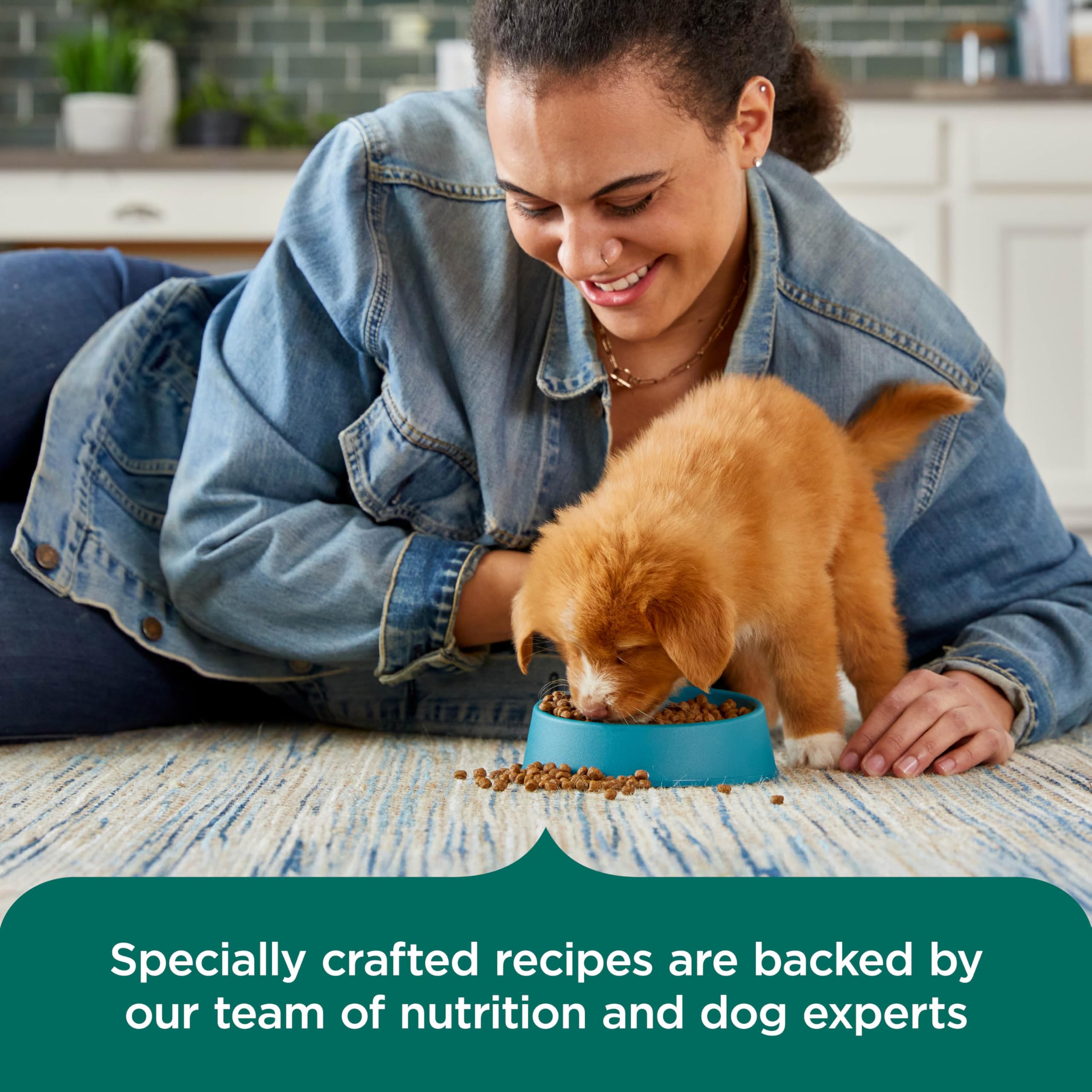 Nutrish Rachael Ray DHA/EPA, posible apoyo al desarrollo cerebral y visión