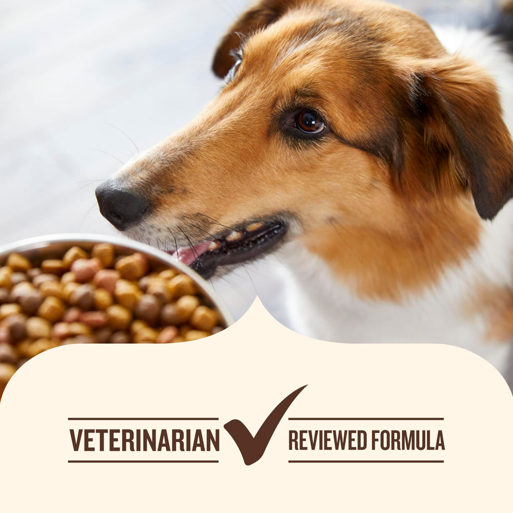 Nutrish Rachael Ray, envase de 13 onzas, práctica comida húmeda para perros.