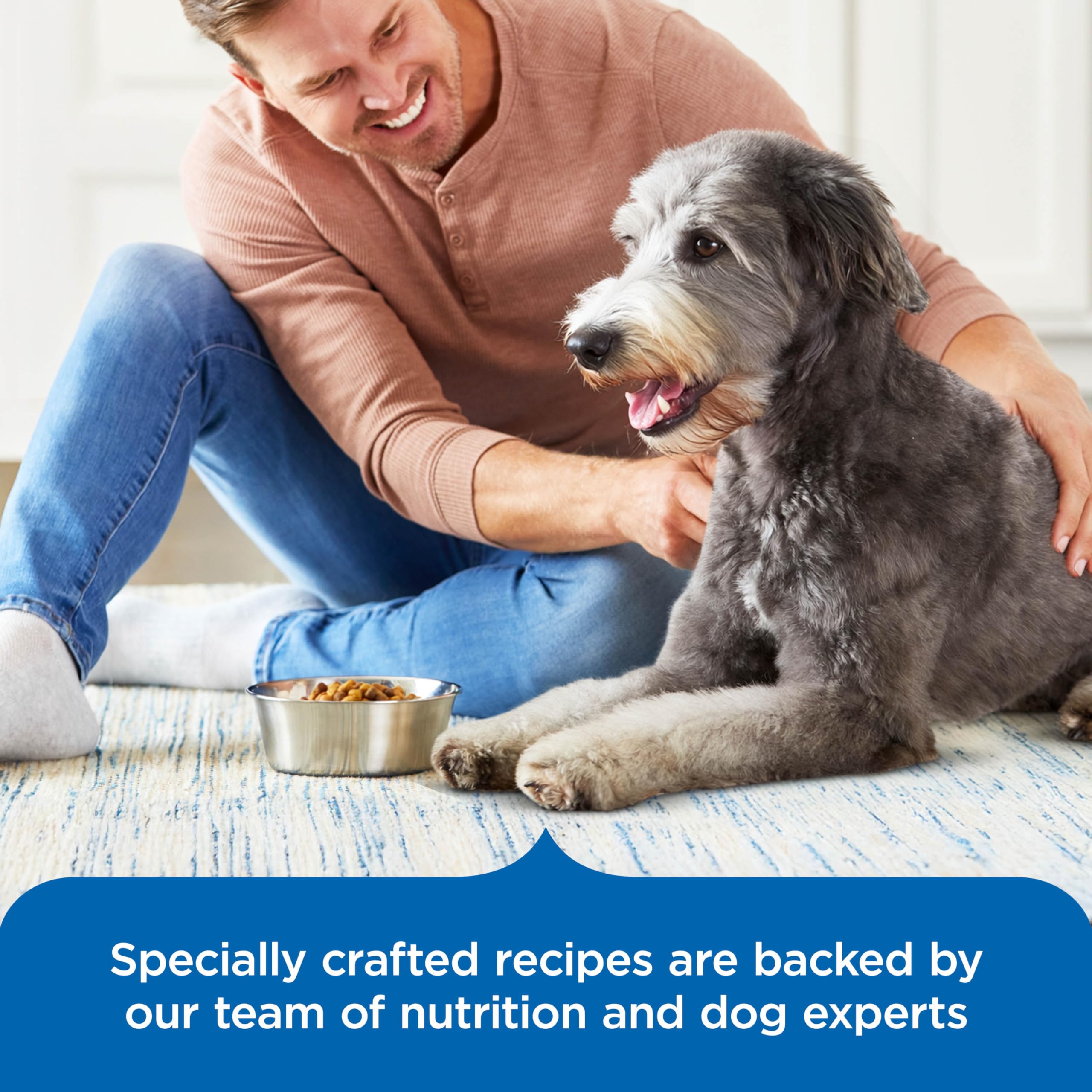Nutrish Rachael Ray, fórmula revisada por veterinarios para perros grandes