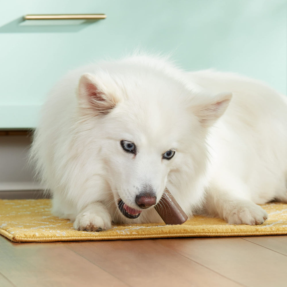 Nutrish Rachael Ray Hueso para Perro: cocinado en EE. UU.