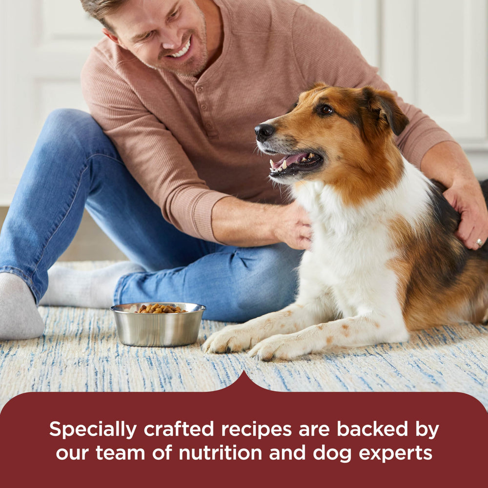 Nutrish Rachael Ray: imagen de carne de res real como primer ingrediente.