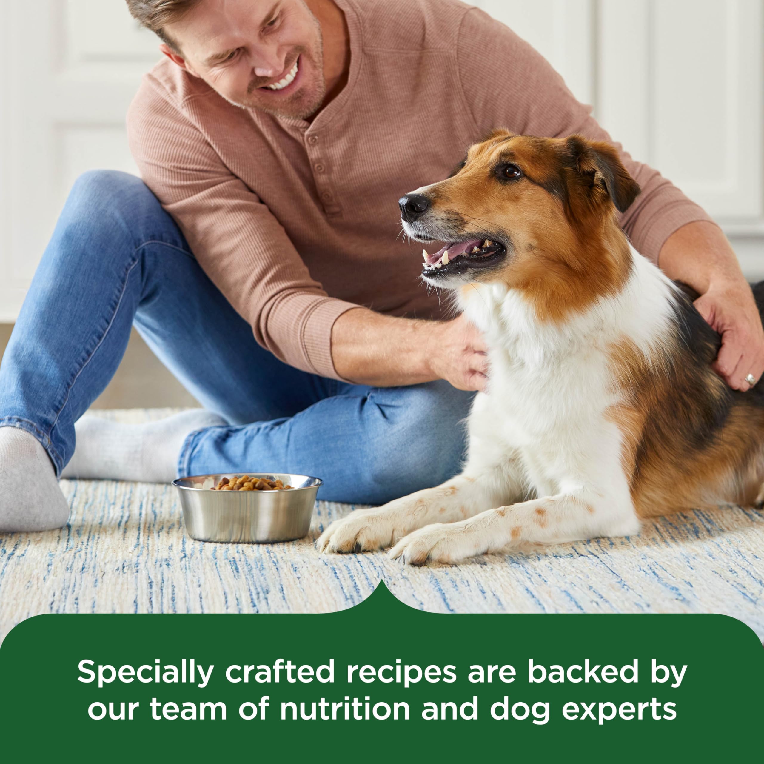 Presentación en plato de Nutrish para perros adultos.