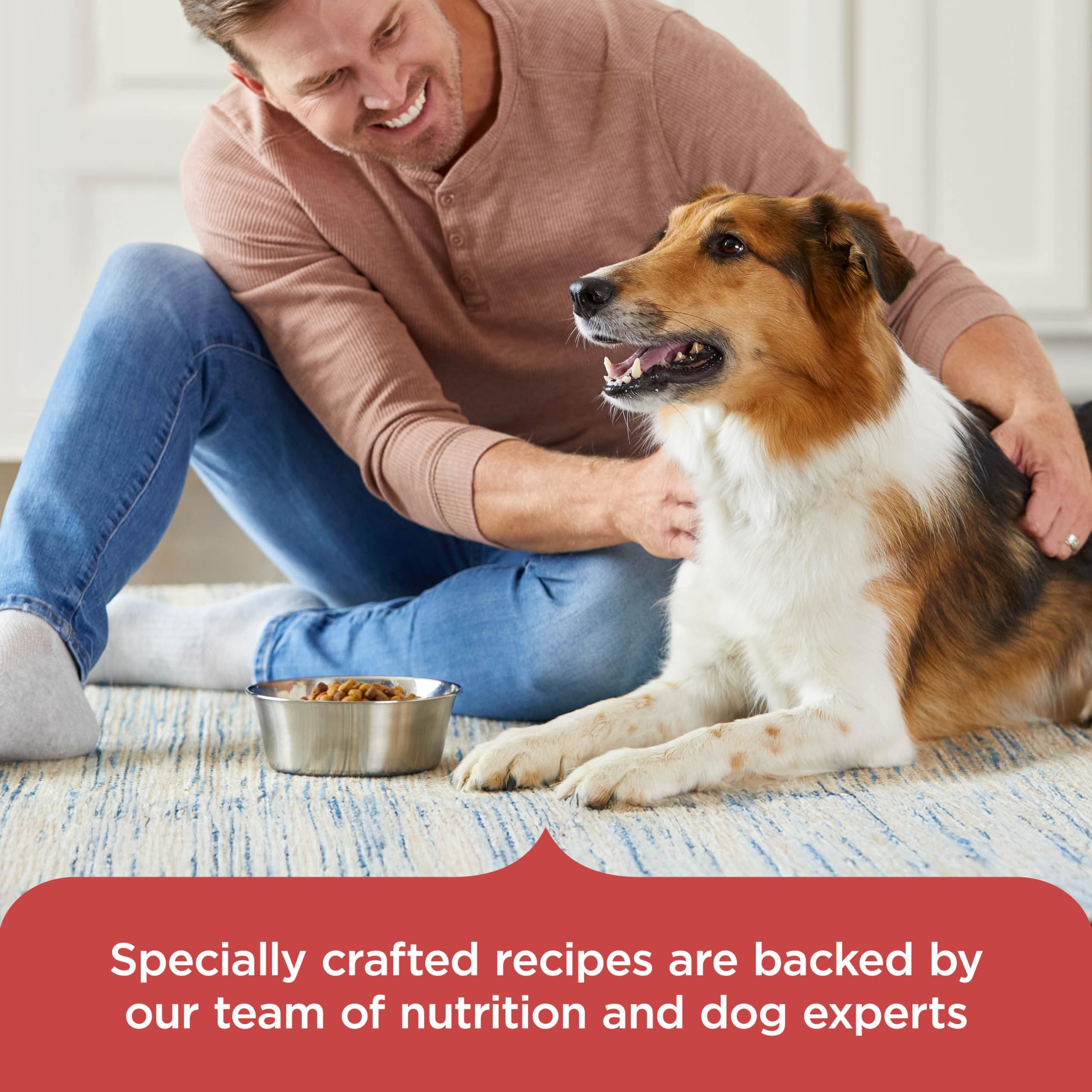 Nutrish Rachael Ray proteína de fácil digestión para perros adultos