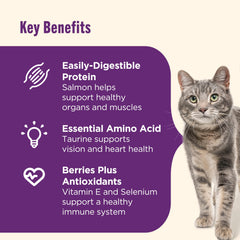 Nutrish Senior Healthy Aging, arándanos antioxidantes para sistema inmune.