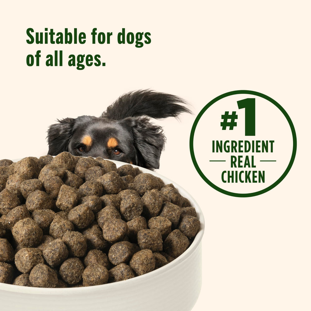 Nutrish sin preservantes artificiales, opción más limpia para la dieta canina.
