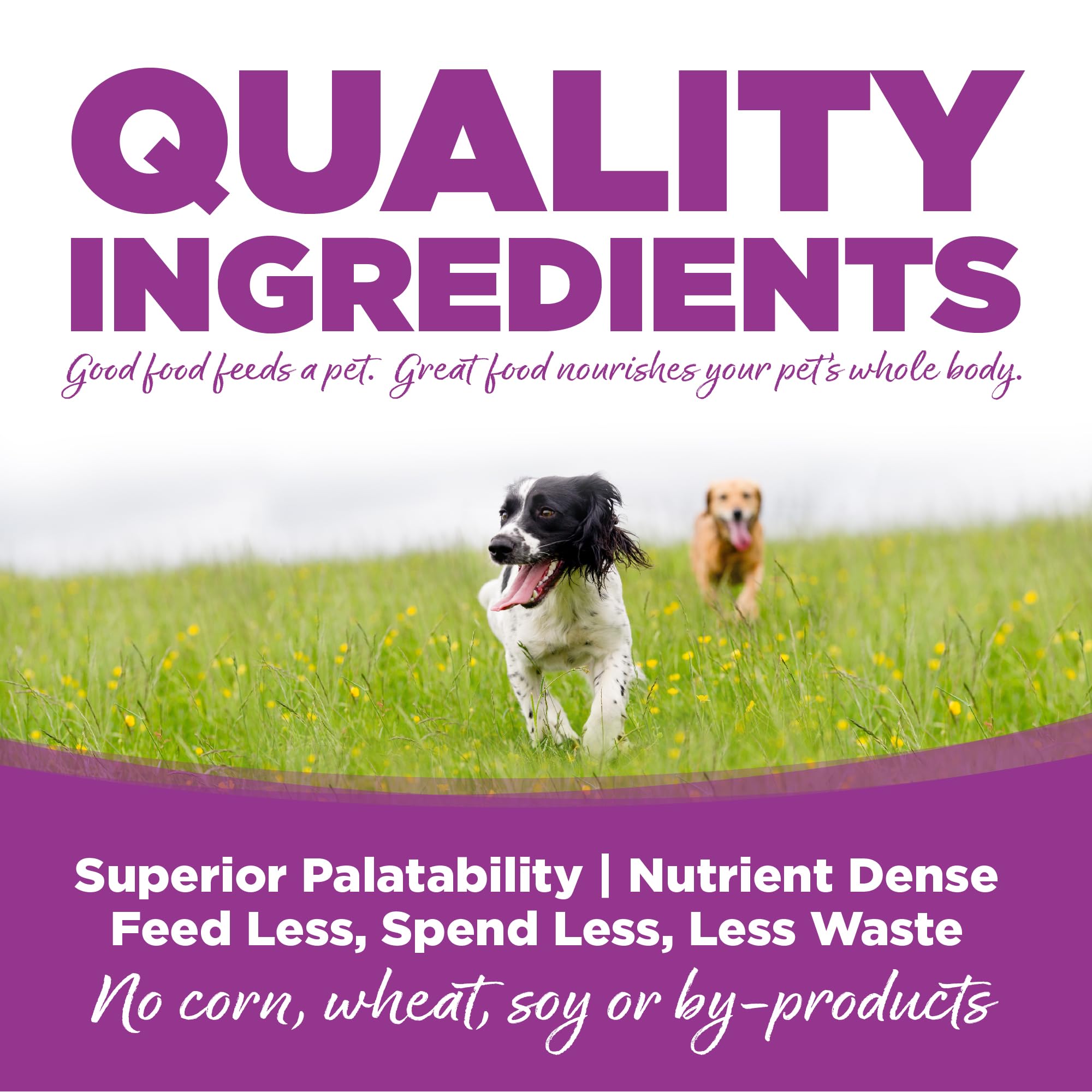 NutriSource cachorros grandes pollo-arroz con Omega-3 y Omega-6 para piel sana.