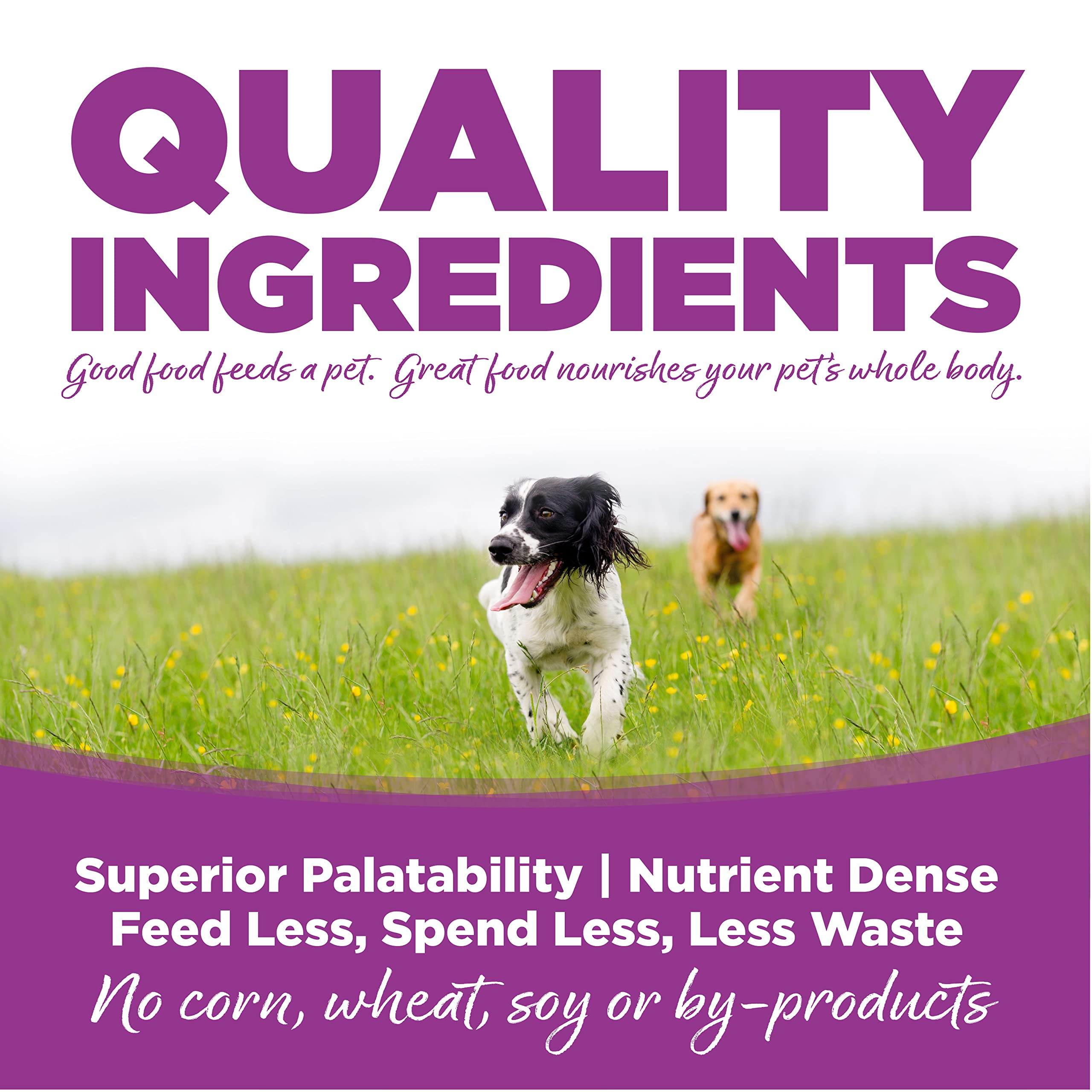 NutriSource crecimiento muscular y estructura esquelética en cachorros grandes.