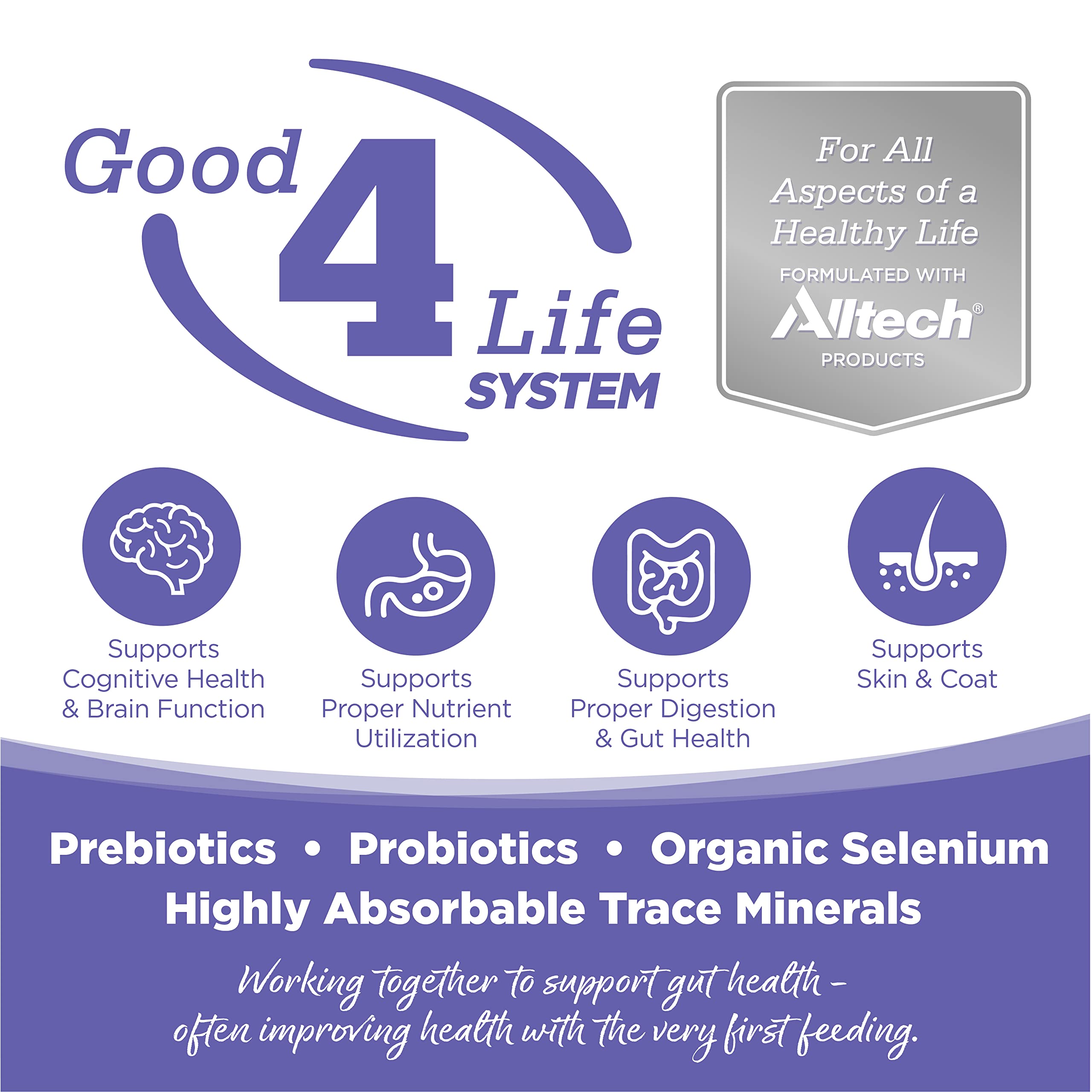 NutriSource equilibrio omega-3-6-DHA para piel y pelaje saludables.