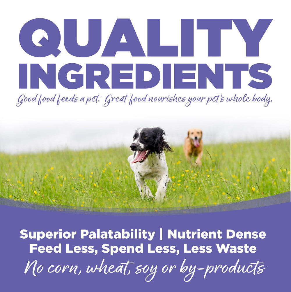 NutriSource plato con comida para perros, ideal para la comida diaria.
