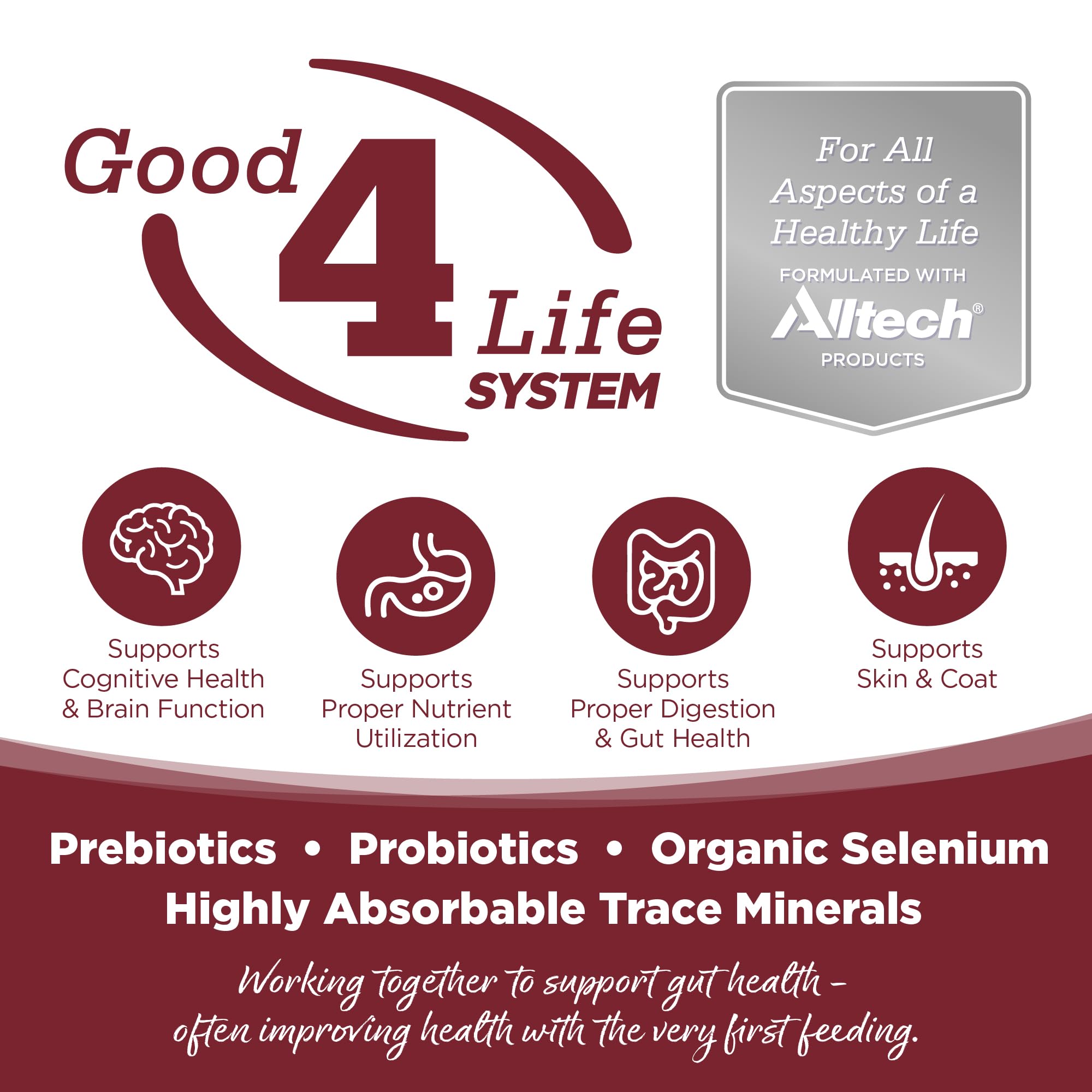 NutriSource con probióticos y prebióticos para la digestión.