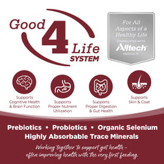 NutriSource con probióticos y prebióticos para la digestión.