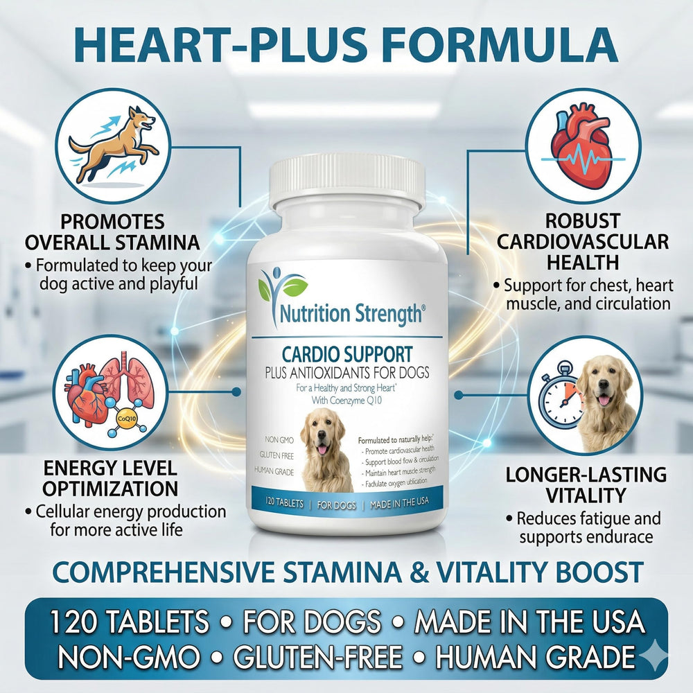 Ingredientes clave de Nutrition Strength para apoyo cardíaco en perros.