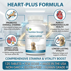 Ingredientes clave de Nutrition Strength para apoyo cardíaco en perros.