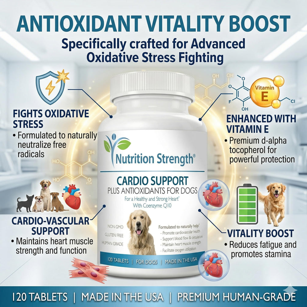 Tabletas en mano de Nutrition Strength, dosis diaria para perros.
