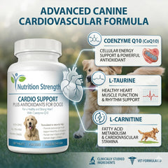 Tabletas masticables de Nutrition Strength para Perros, sabor agradable.