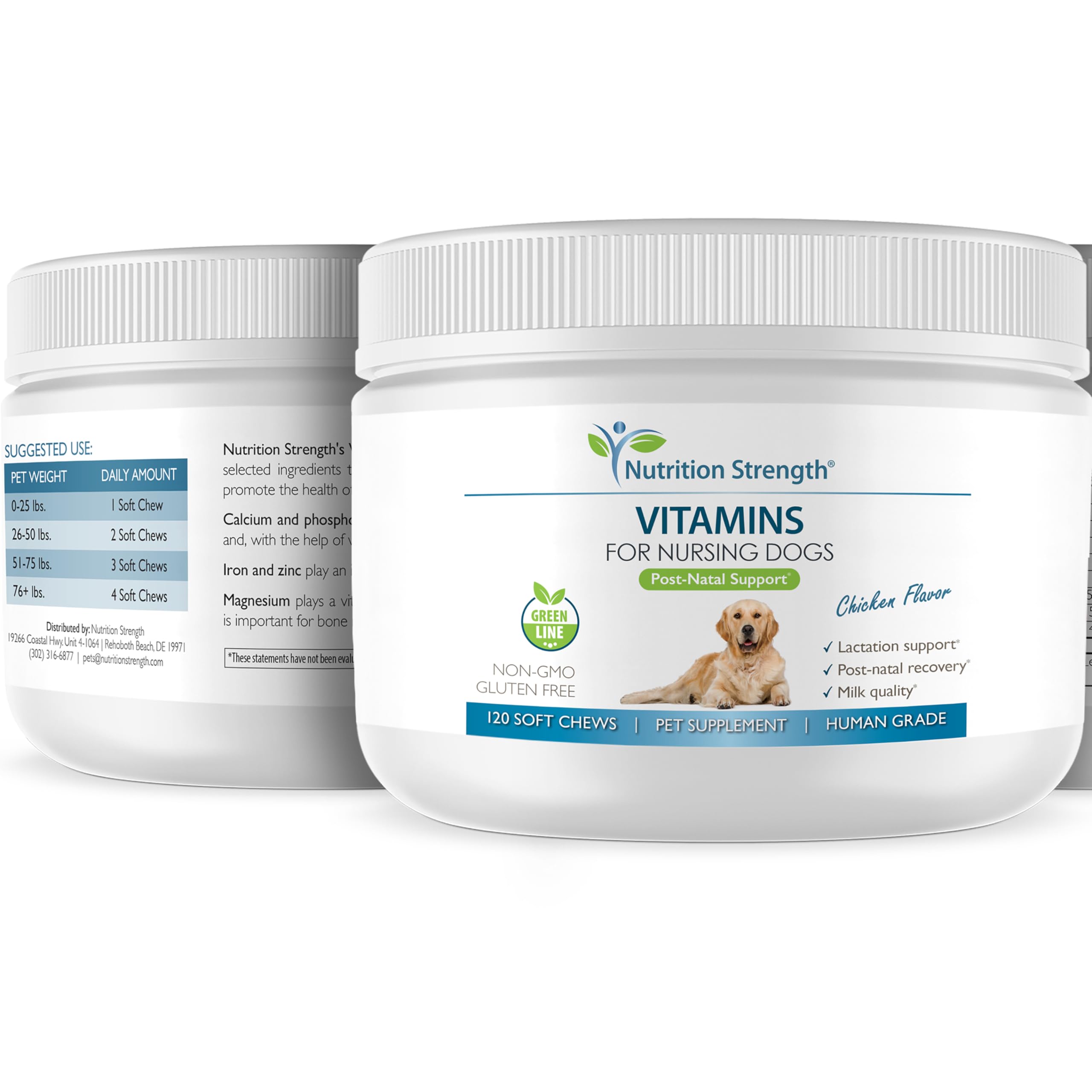 Apoyo a la producción de leche en perros lactantes con Nutrition Strength.