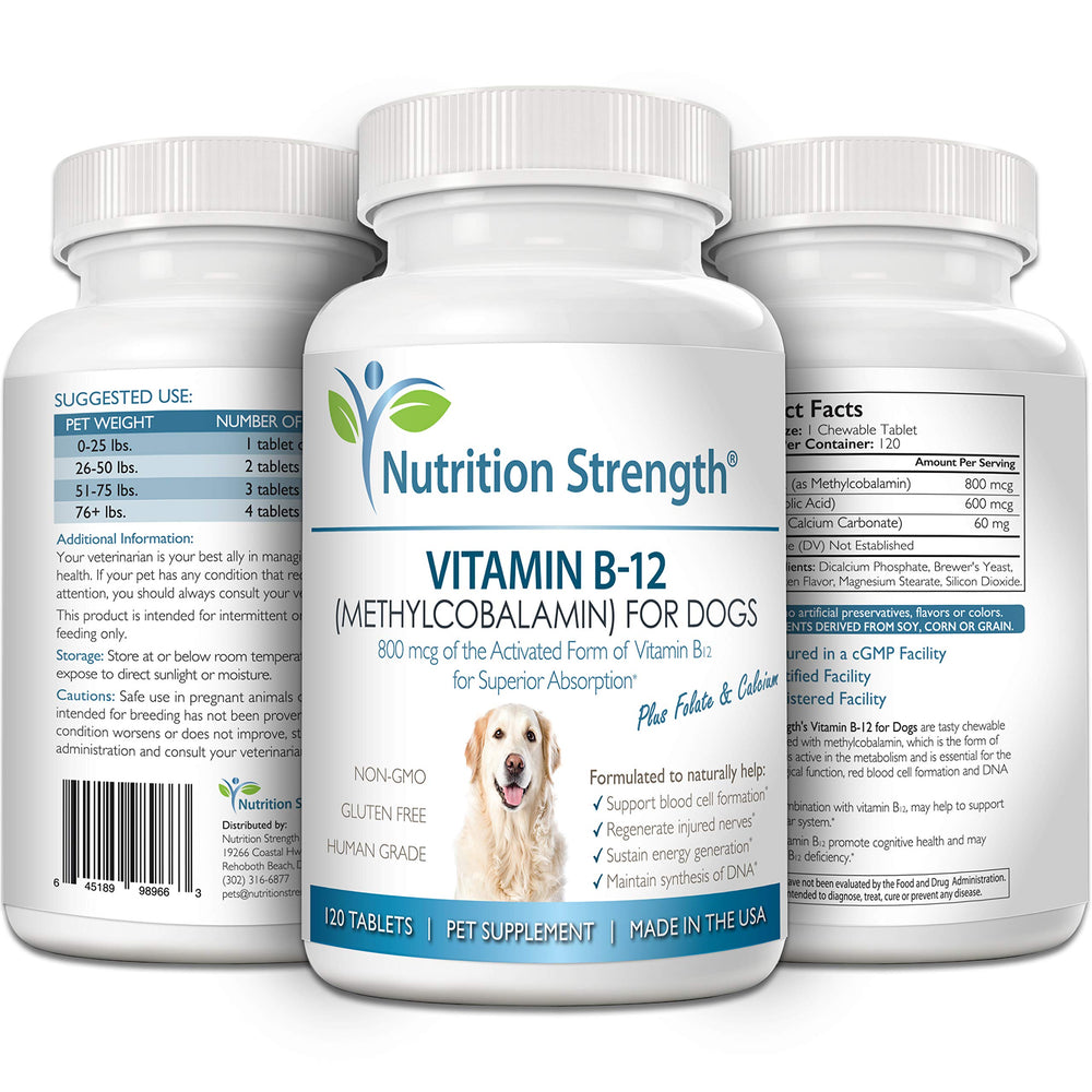 Nutrition Strength B12 para perros: energía celular sostenida durante el día