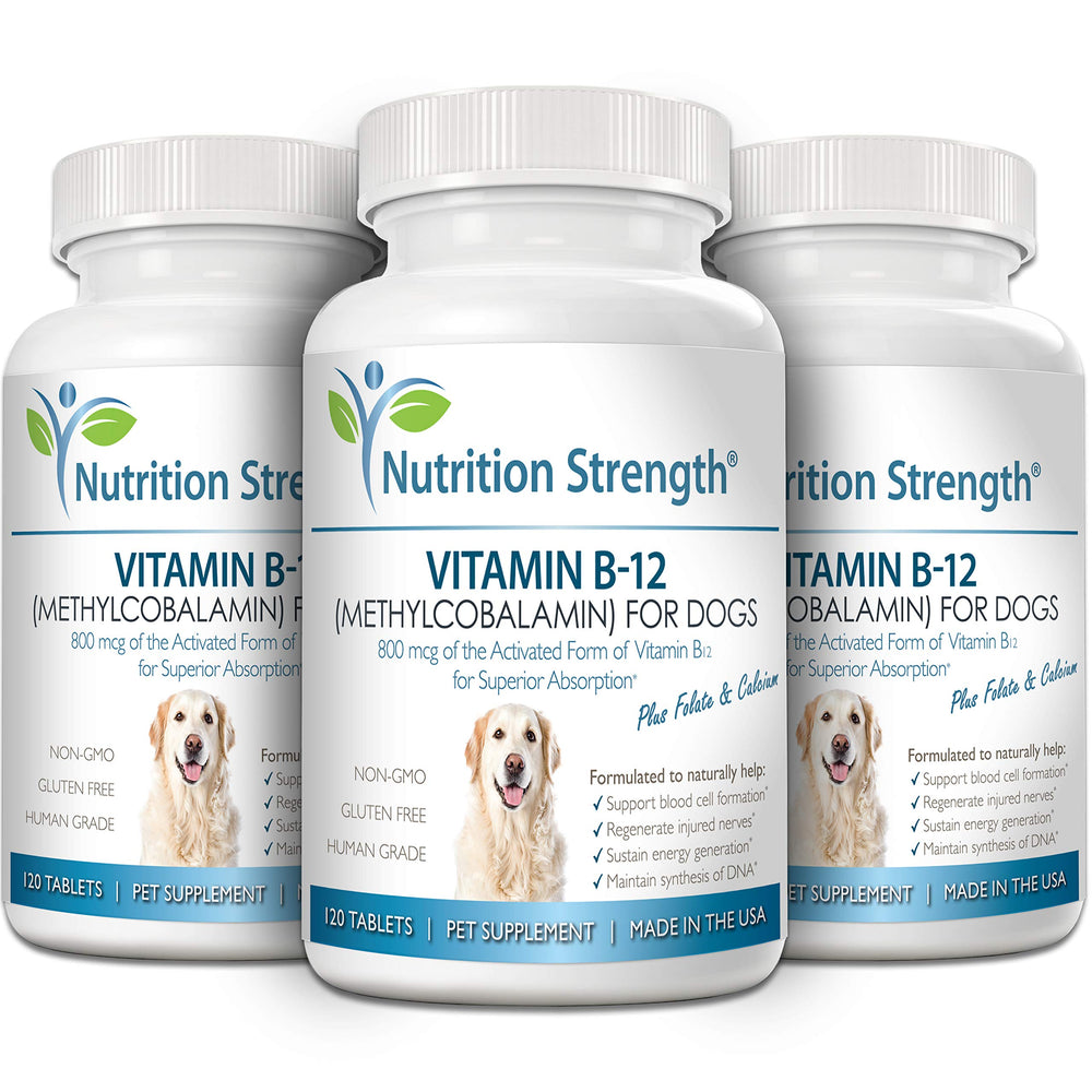Nutrition Strength B12 para perros: fórmula con folato y calcio para salud cardiovascular