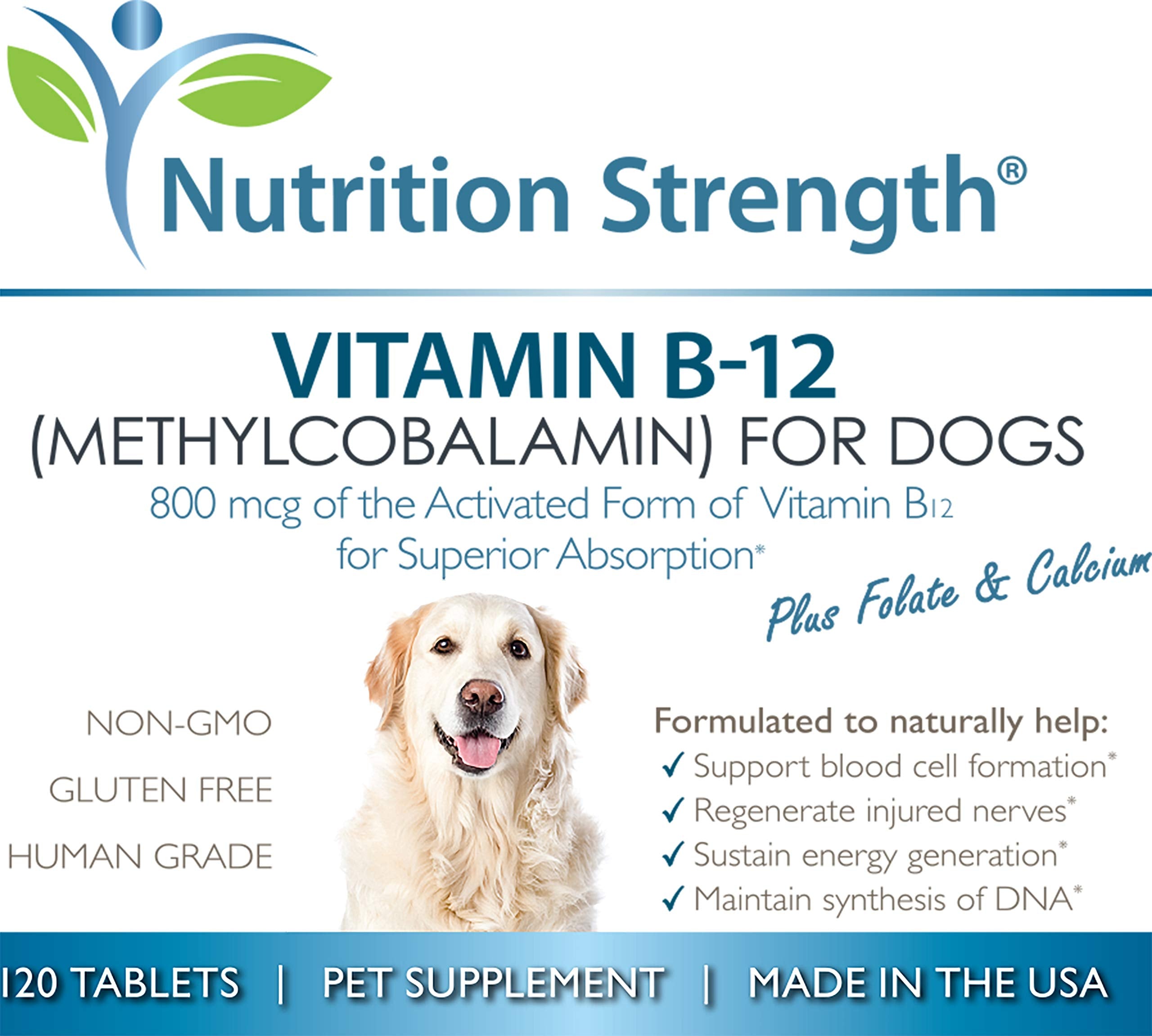 Nutrition Strength B12 para perros: fácil de usar junto a la comida