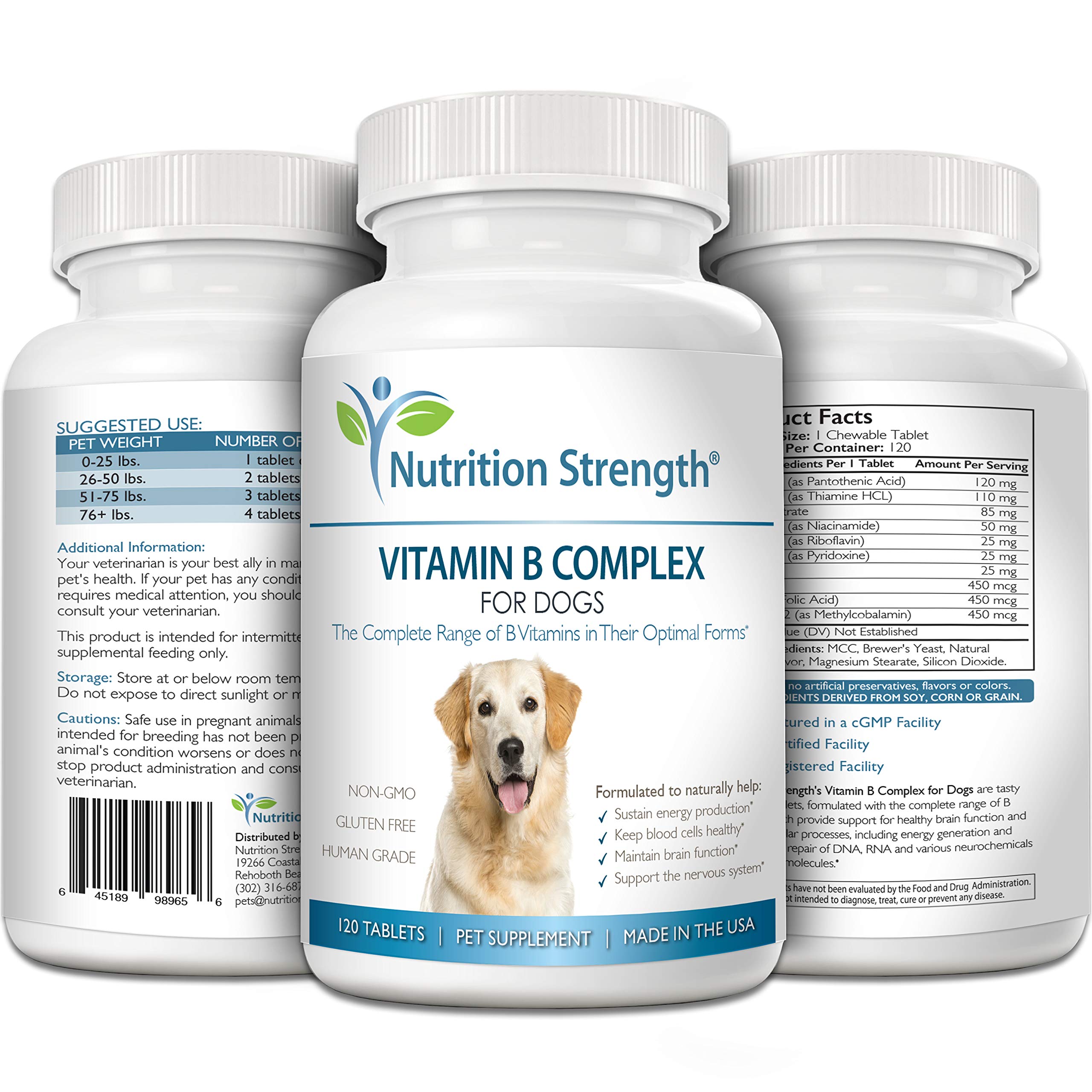 Nutrition Strength B para perros, apoyo al sistema nervioso con vitaminas B