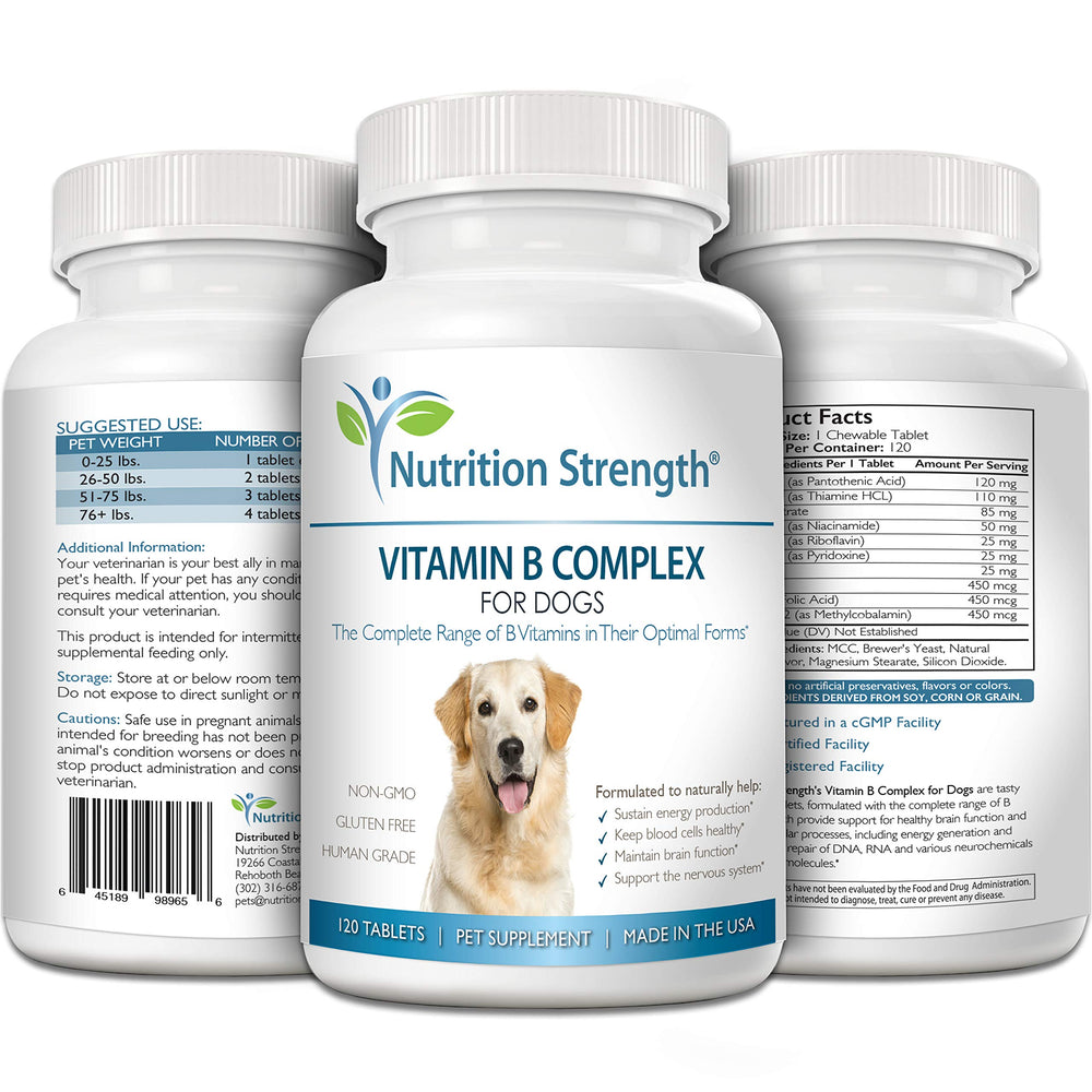 Nutrition Strength B para perros, apoyo al sistema nervioso con vitaminas B