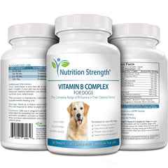 Nutrition Strength B para perros, apoyo al sistema nervioso con vitaminas B