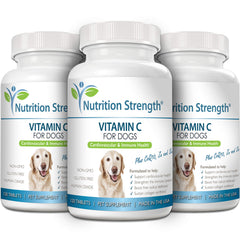 Nutrition Strength garantiza 365 días para la tranquilidad de los dueños.