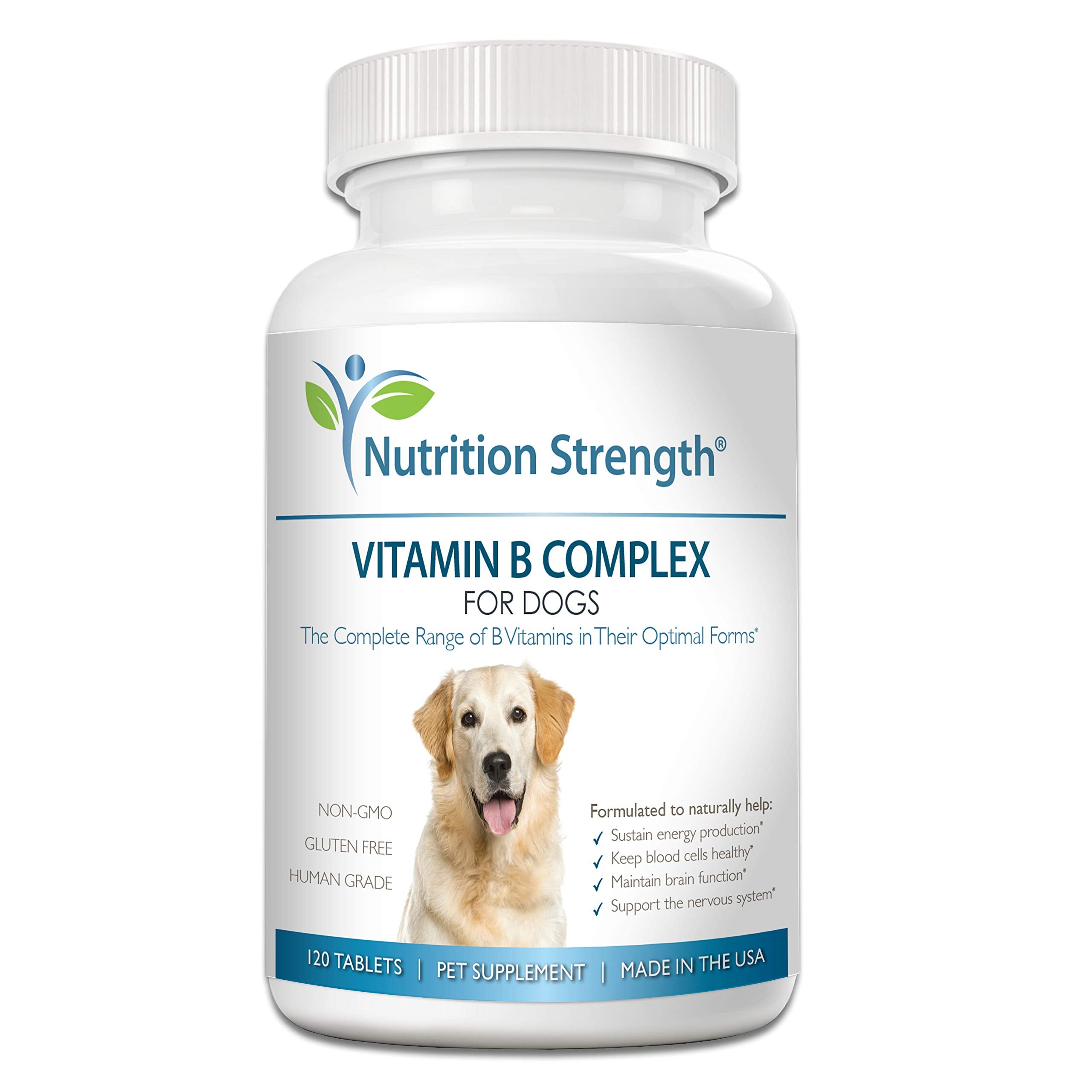 Tabletas Nutrition Strength B para perros, apoyo a la energía diaria y función nerviosa