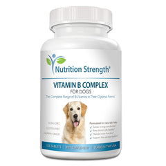 Tabletas Nutrition Strength B para perros, apoyo a la energía diaria y función nerviosa